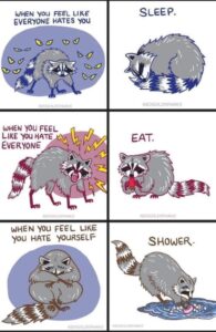 Six panel cartoon. P1: stressed raccoon with eyes watching it from the shadows. Captioned when you feel like everyone hates you...P2: the raccoon curled up in a ball. Captioned ...sleep. P3: a spiky raccoon snarling at the world with lightning bolts flying out of its head. Captioned when you feel like you hate everyone P4: the same raccoon eating a small red vegetable captioned ...eat. P5: a small raccoon curled up with its nose buried looking sad. captioned when you feel like you hate yourself... P6: the raccoon splashing in a puddle with a bar of soap captioned ...shower. cartoon credit to redgoldsparks originally found on tumblr.